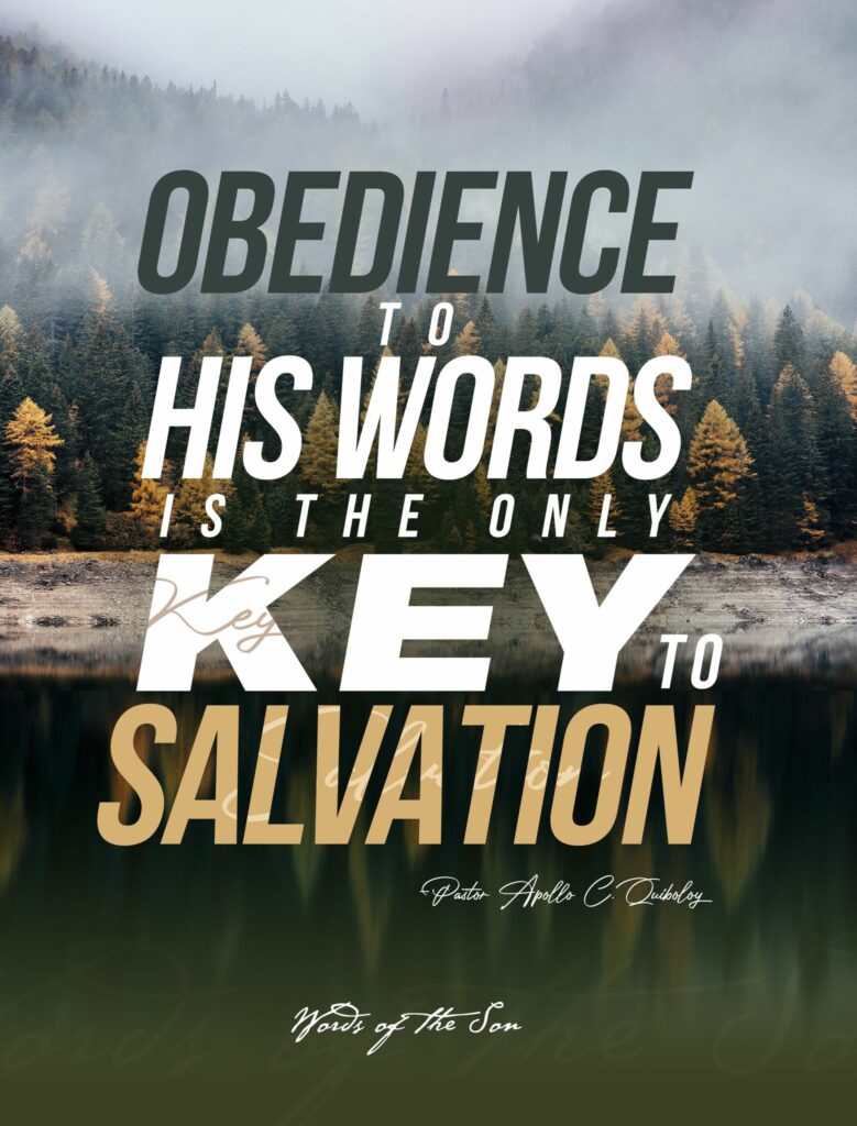 385805846 231172229948993 5196540235653848889 n