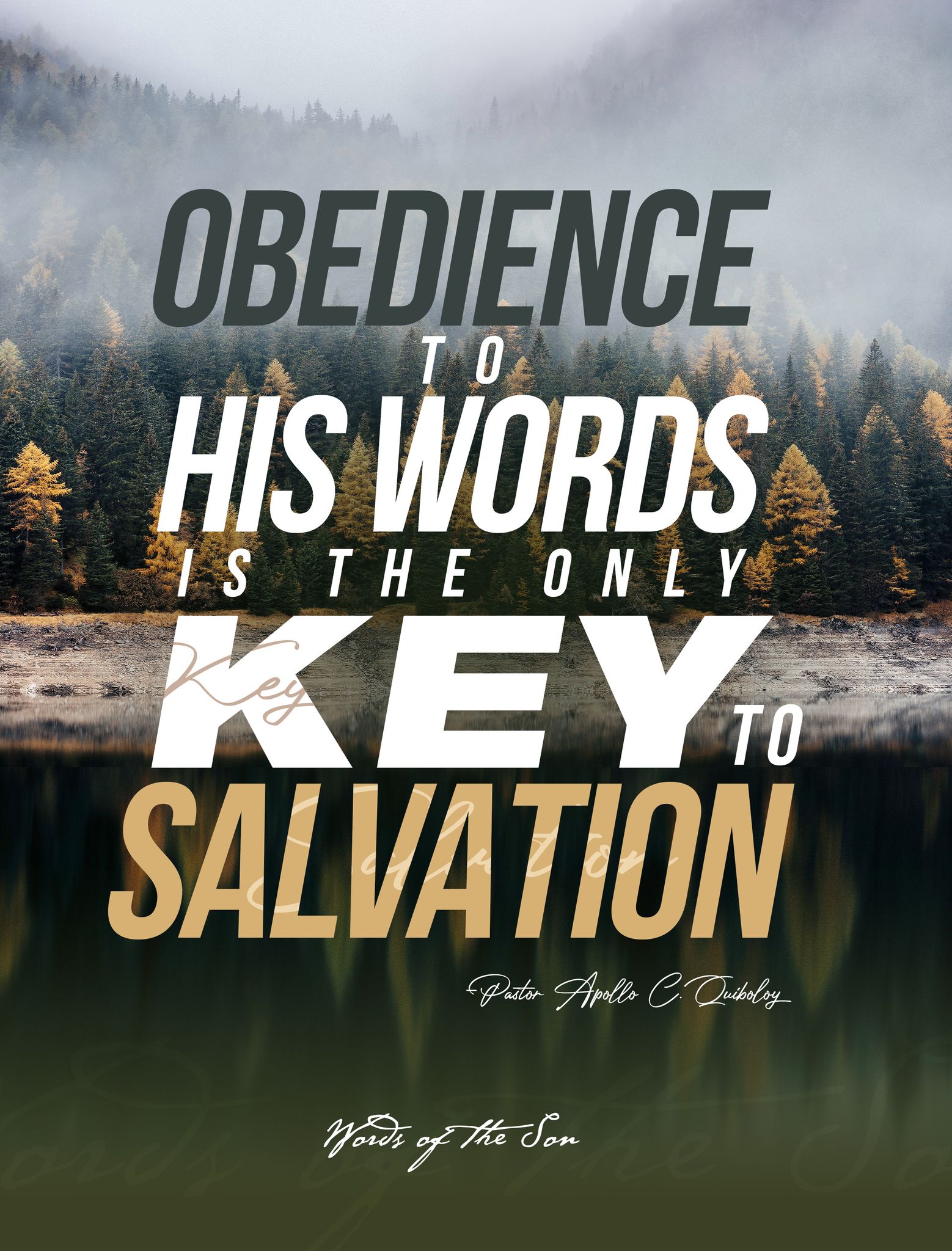 385805846 231172229948993 5196540235653848889 n